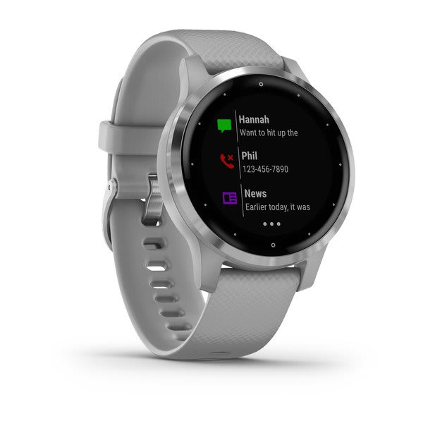 Garmin vivoactive 4S, Powder Gray with Silver Hardware