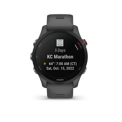 Garmin Forerunner 255 (Slate Grey)