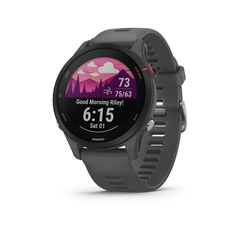 Garmin Forerunner 255 (Slate Grey)