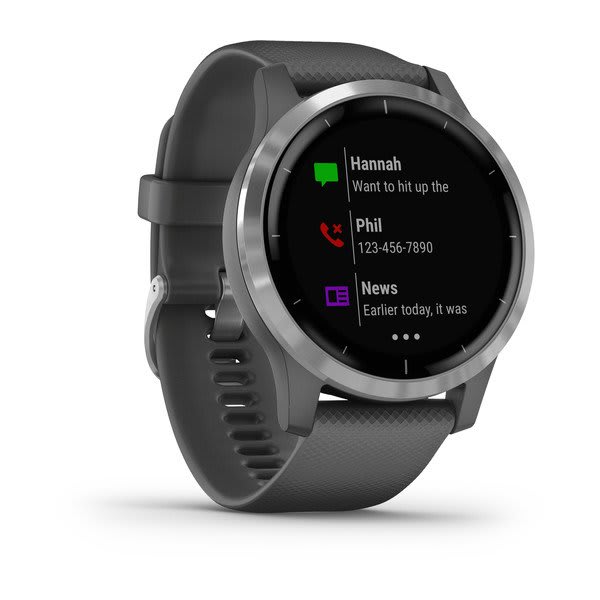 Garmin vivoactive 4, Shadow Gray with Silver Hardware